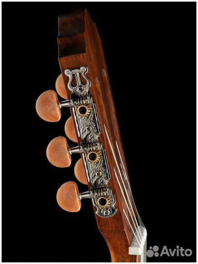 Классическая гитара Parkwood pc 110 с подключением