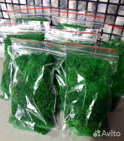 Мох стабилизированный