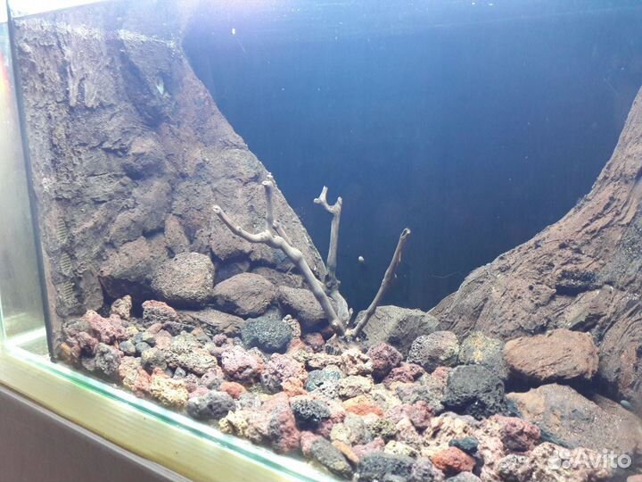 Аквариум (100л.)