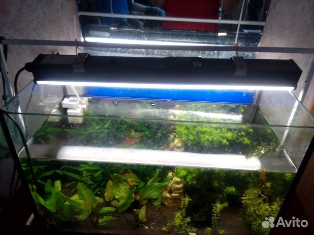 Линейный светильник Philips WT066C NW LED18 L600