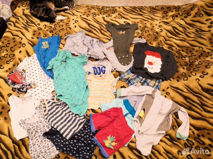 Пакетом боди, шорты, майки на 1-1,5 года (размер 1