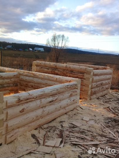 Сруб бани из липы