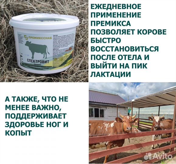 Премикс для высокопродуктивных коров