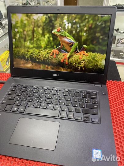 Ноутбук Dell i3-6006U/4/ssd256