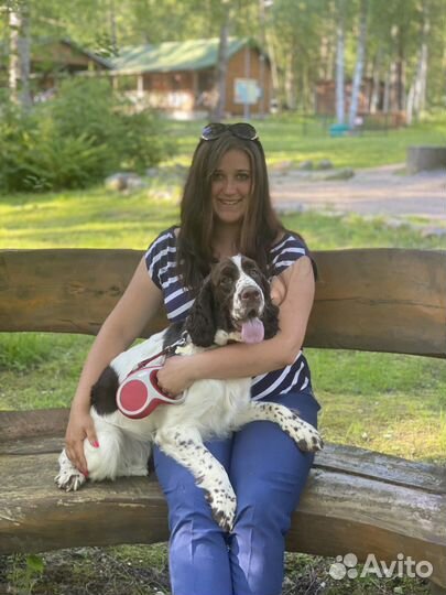 Дрессировка Зоотакси Передержка Зоопсихолог