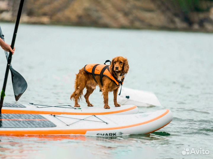 Сап доска Sup board shark ALL-round 10'6