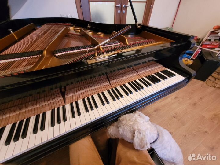 Настройка фортепиано