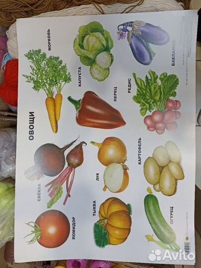 Обучающий плакат