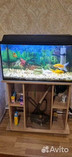 Украшение для аквариума