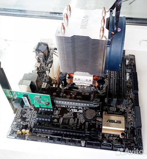 Intel Core i5-6600 c h170m-plus asus