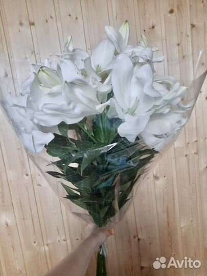 Букет из 9 белых Лилий