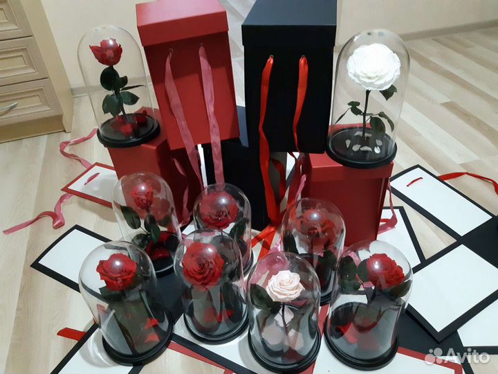 Роза в колбе. Подарок