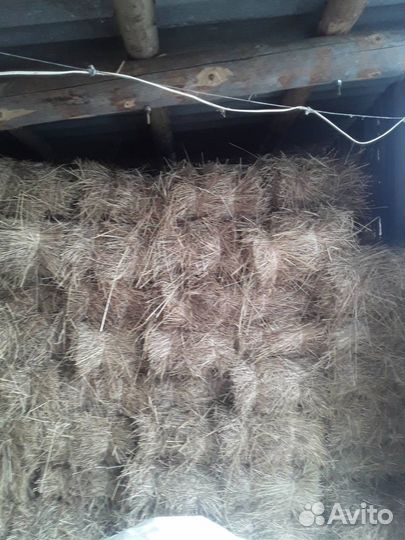 Сено в тюках