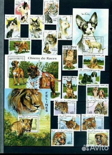 Фауна-часть 11(И марки по другим темам.)