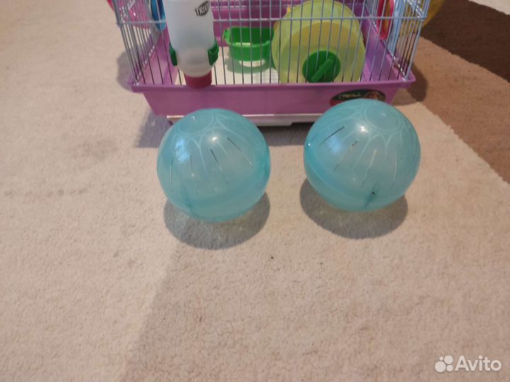 Клетка для джунгарского хомяка