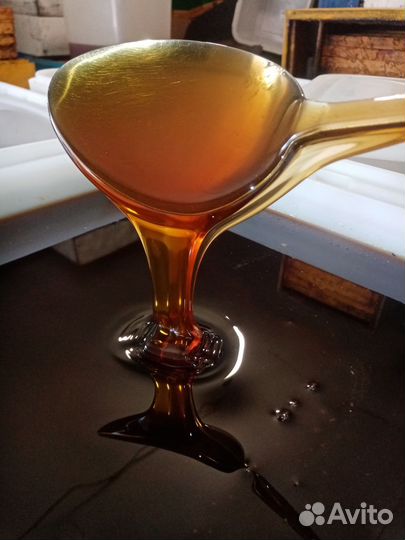 Мёд гречиха-лесное разнотравье опт