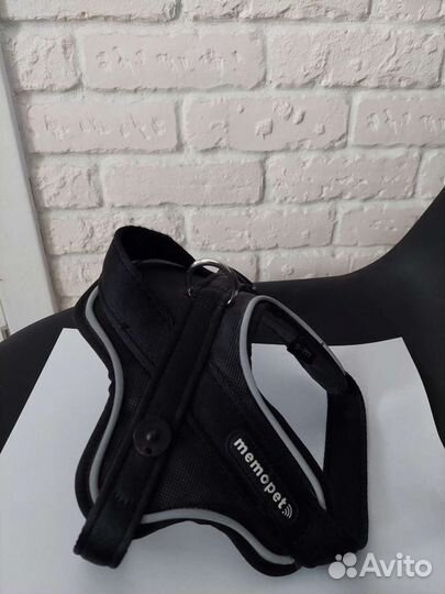 Ошейник memopet