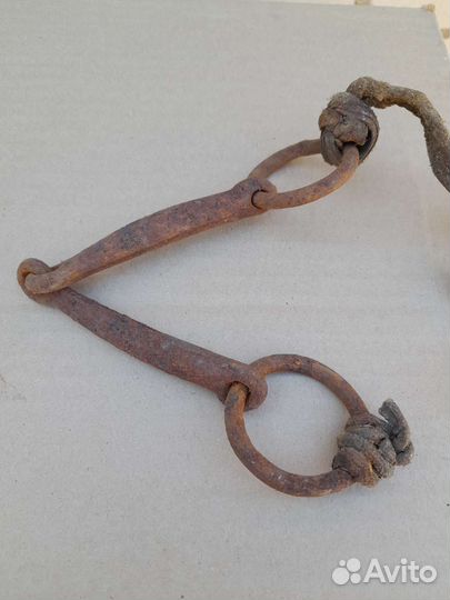 Удила для лошади