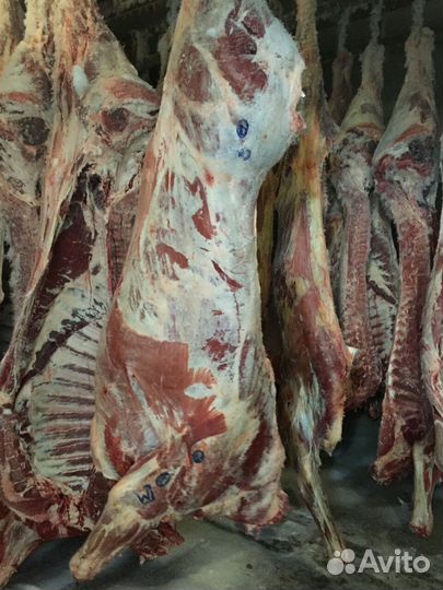 Мясо говядина