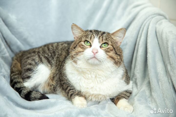 Котик Даня