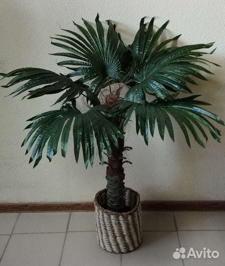 Искусственная пальма