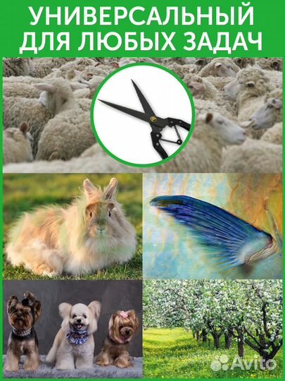 Ножницы для стрижки овец / животных