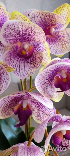 Орхидея искусственная
