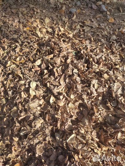 Наполнитель для подушки