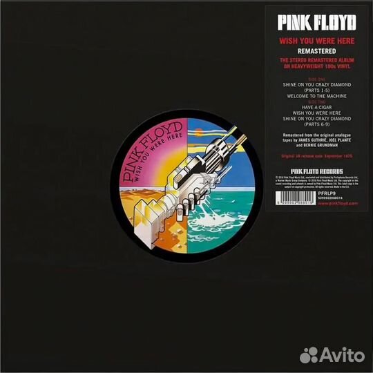 Pink floyd - Wish You Were Here