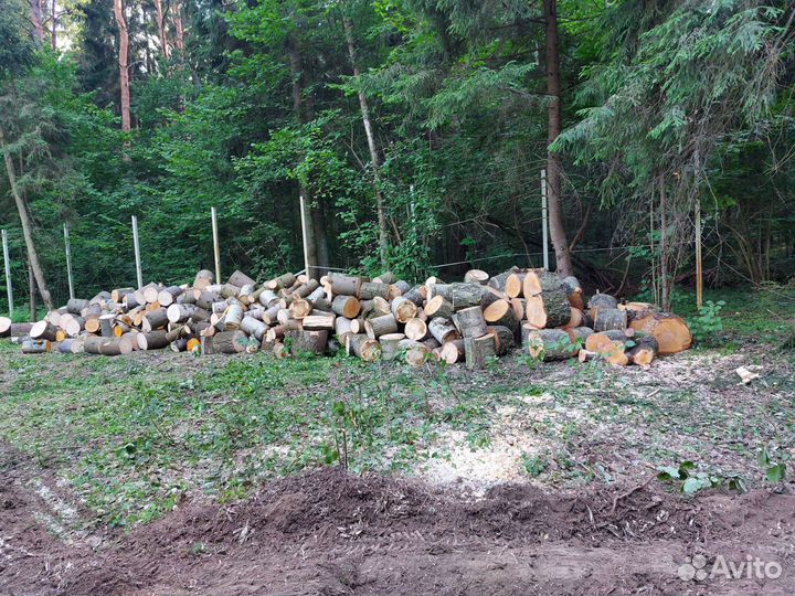 Спил и удаление деревьев расчистка участка