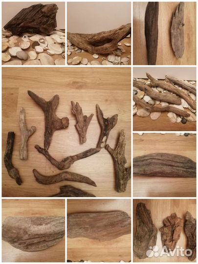 Дерево, топляк