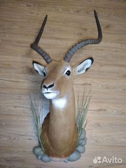 Импала - реплика из искусственного меха