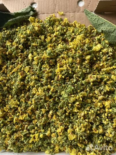 Лекарственные травы для сборов и чаёв