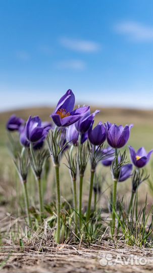 Фотоуслуги