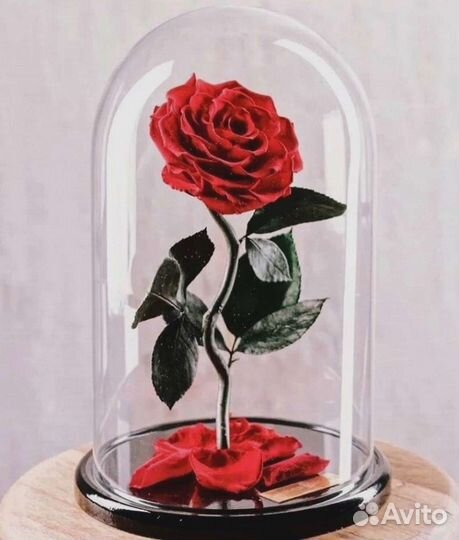 Роза в колбе