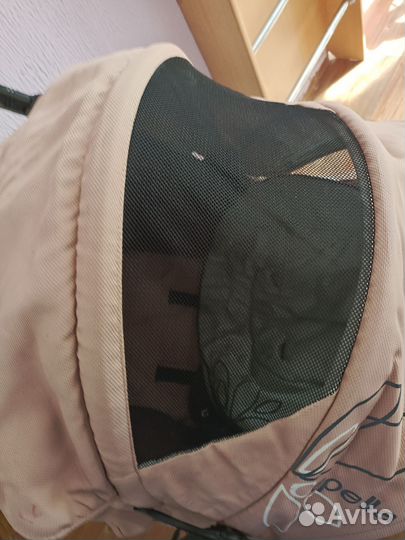 Коляска capella