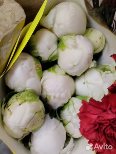 Пионы с доставкой