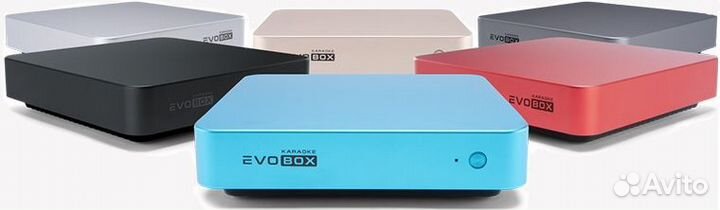 Караоке Evobox для дома с микрофонами (новое)