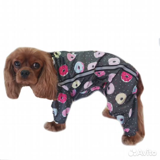 Одежда для собак