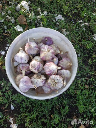 Продукты питания