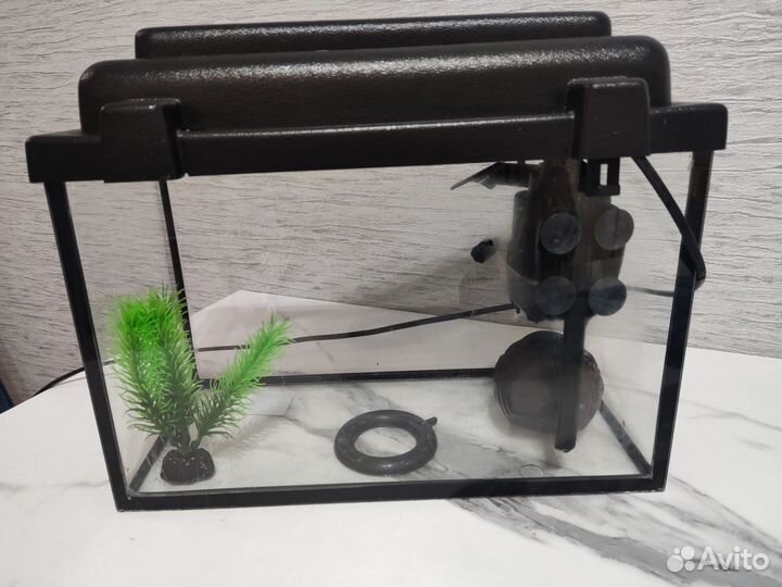 Аквариум 10 литров