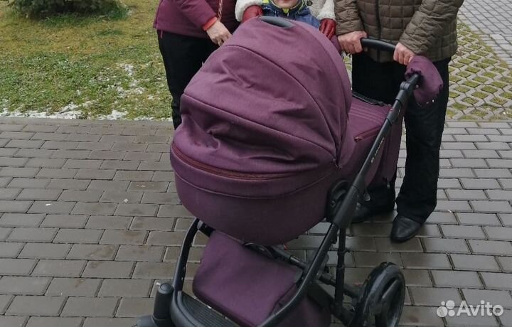 Коляска 2 в 1 adamex luciano цвет бордовый