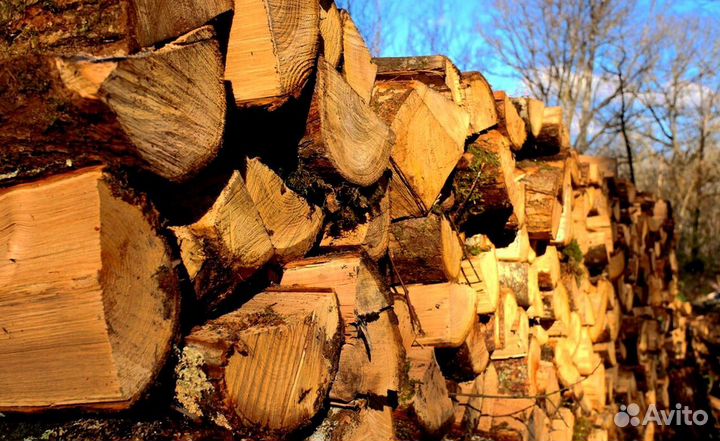 Дрова с Приморска