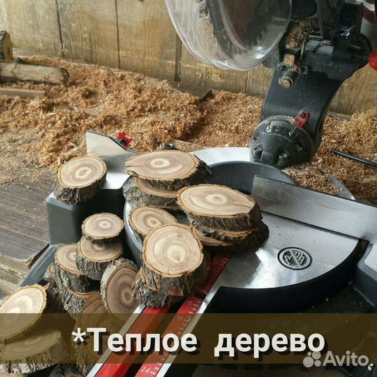 Спилы чернослива