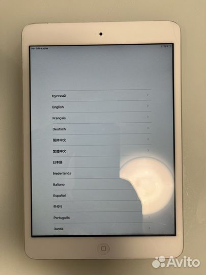 iPad mini A1455