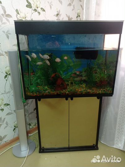 Аквариум