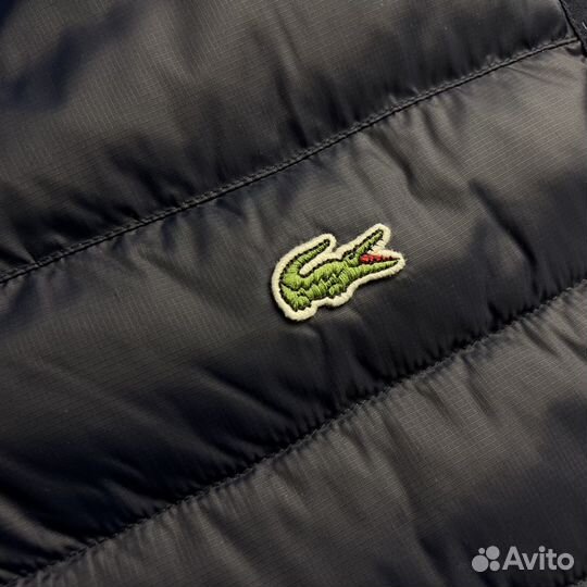 Жилет Lacoste