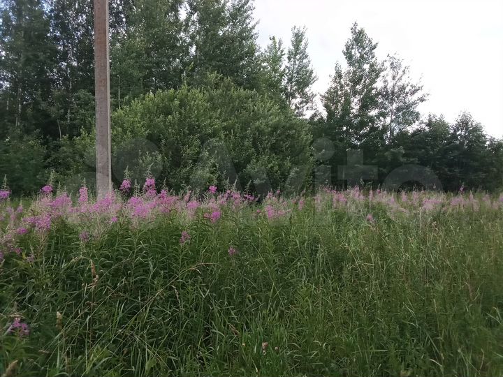 Участок 10 сот. (СНТ, ДНП)