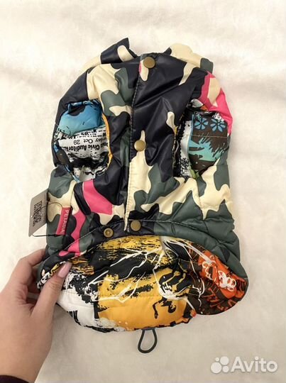 Одежда для собак