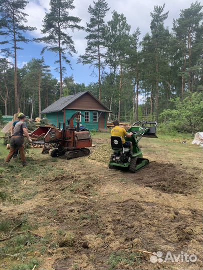 Спил деревьев, расчистка участков, дробление пней